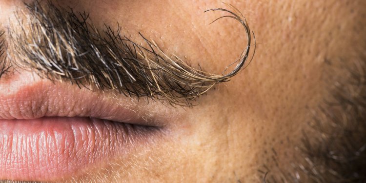 Tips On Applying A Mustache