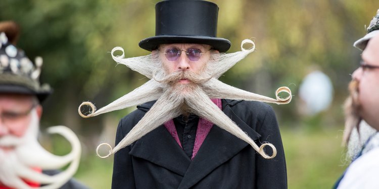 Beard and Moustache Championships